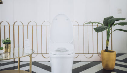 Bidets: Sustainability’s Best Kept Secret